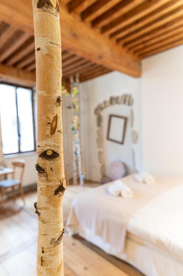 La Cour Filaterie - Suite Of 30 Sq M In The Annecy Breakfast Included Buitenkant foto